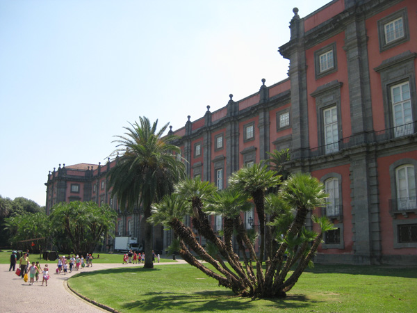 Robert Merc - Kampanien 2010