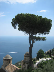 Robert Merc - Cilento 2007