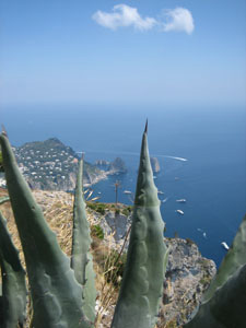 Robert Merc - Cilento 2007