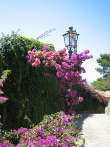 Robert Merc - Cilento 2007
