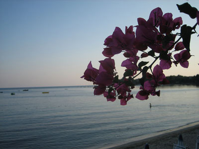 Robert Merc - Cilento 2007