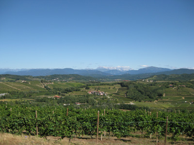 Robert Merc - Collio 2009