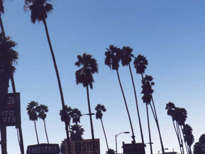 Robert Merc - Los Angeles 1996