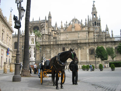 Robert Merc - Sevilla 2008