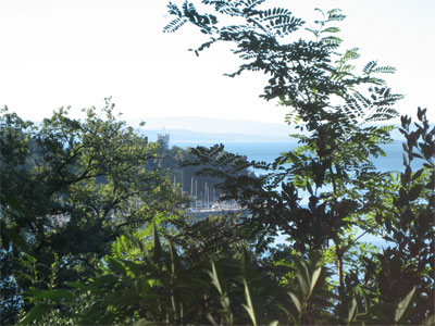 Robert Merc - Triest 2006