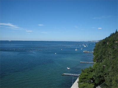 Robert Merc - Triest 2006