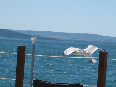 Robert Merc - Triest 2007