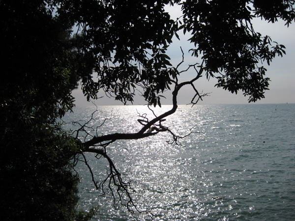 Robert Merc - Triest 2010