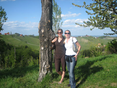 Robert Merc - Weinstrasse 2008