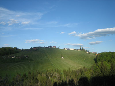 Robert Merc - Weinstrasse 2008