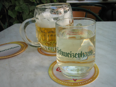Robert Merc - Wien 2008